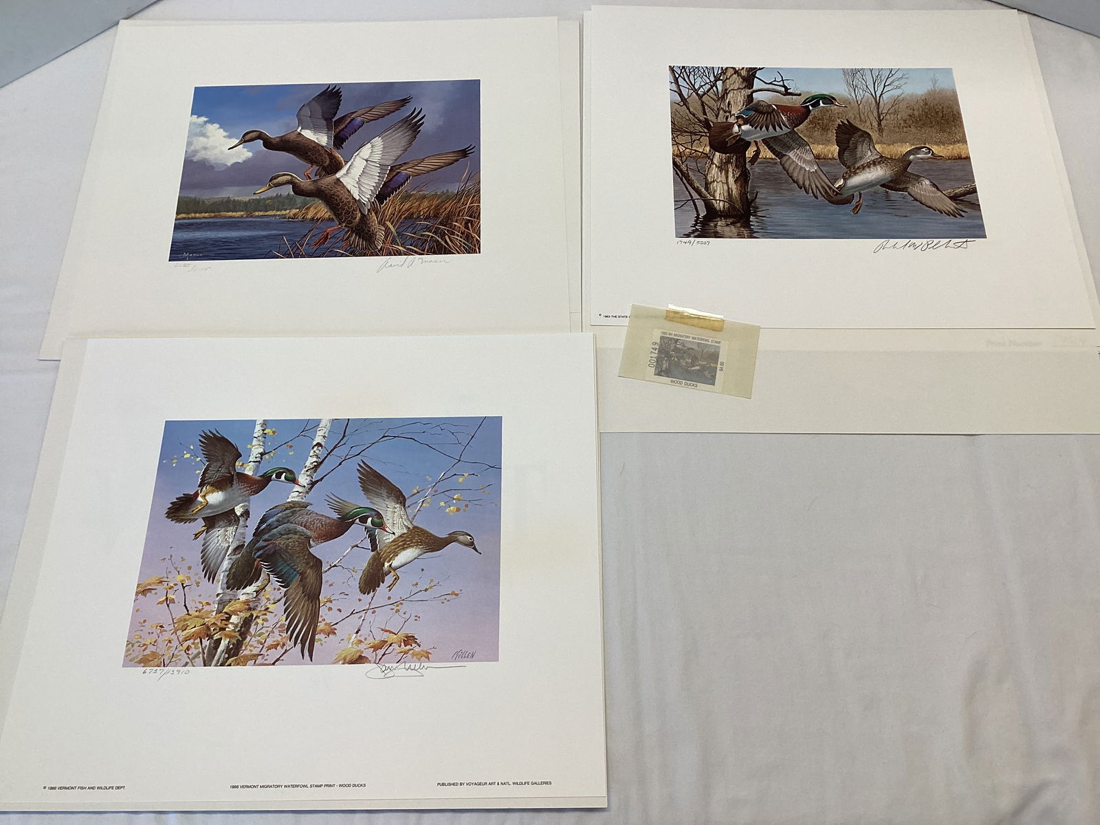 New Hampshire, Maine, and Vermont Duck Stamps and Prints: Vermont 1986 - 14" x 12", 6737/13910, Wood Ducks, signed by Jim Killen; Maine 1984 - 14" x 12", 6585/11115, signed by David Maass; New Hampshire 1983 - 14" x 12", 1749/5507, signed by Richard Plasscha