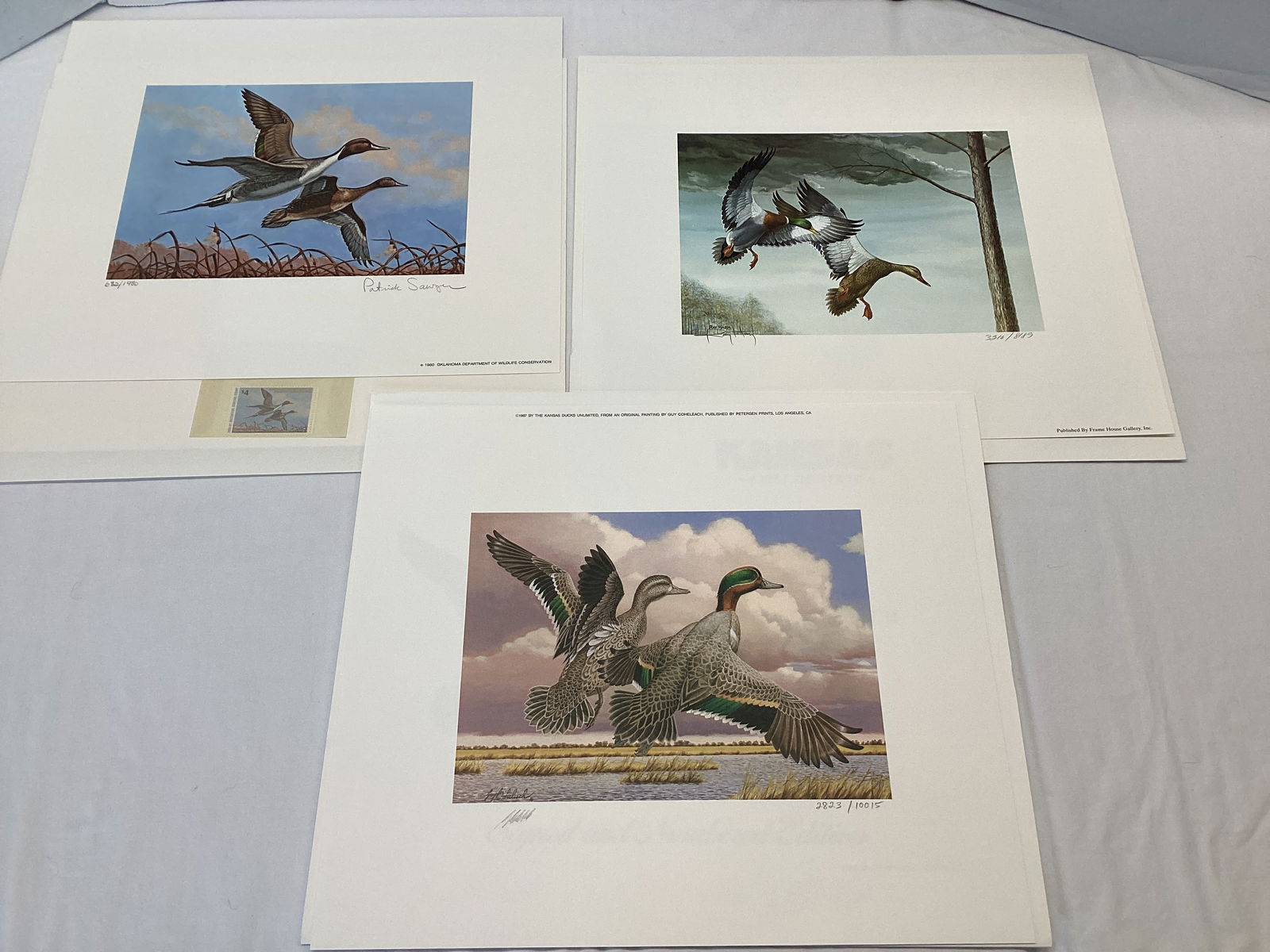 Kentucky, Oklahoma, and Kansas Duck Stamps and Prints (1 of 20)