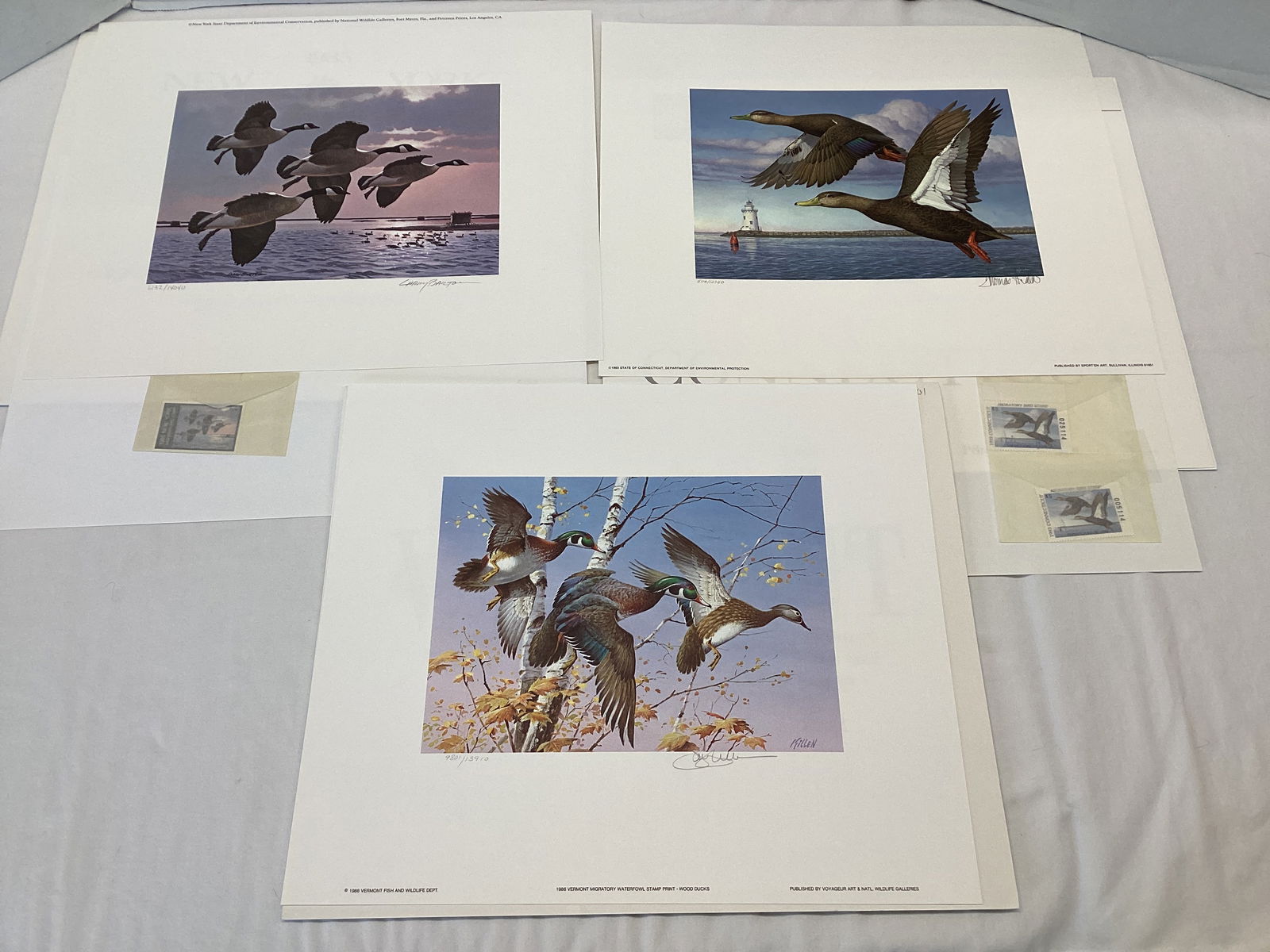 Connecticut, New York, and Vermont Duck Stamps and Prints (1 of 20)
