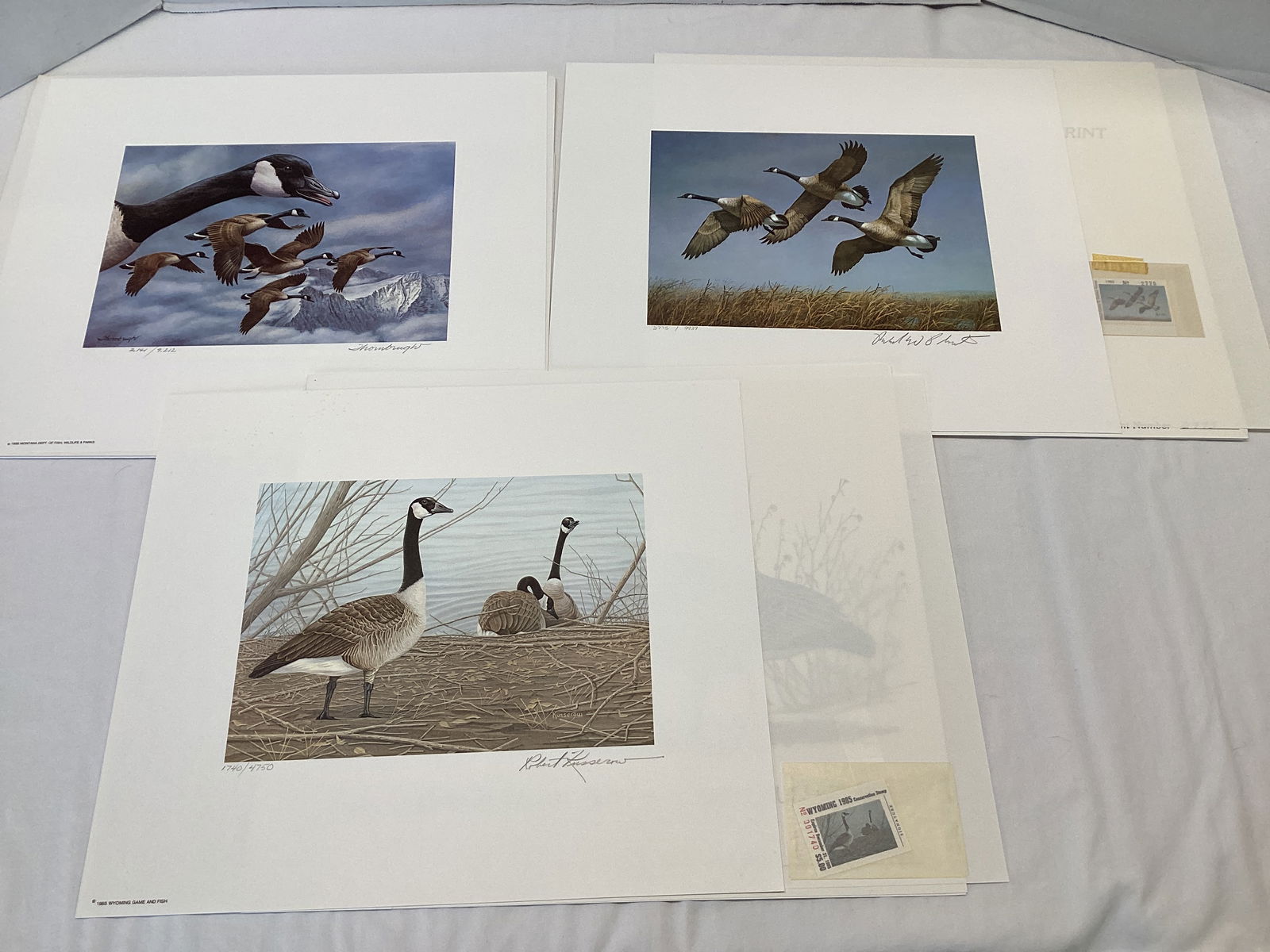 North Dakota, Montana, and Wyoming Duck Stamps and Prints (1 of 20)