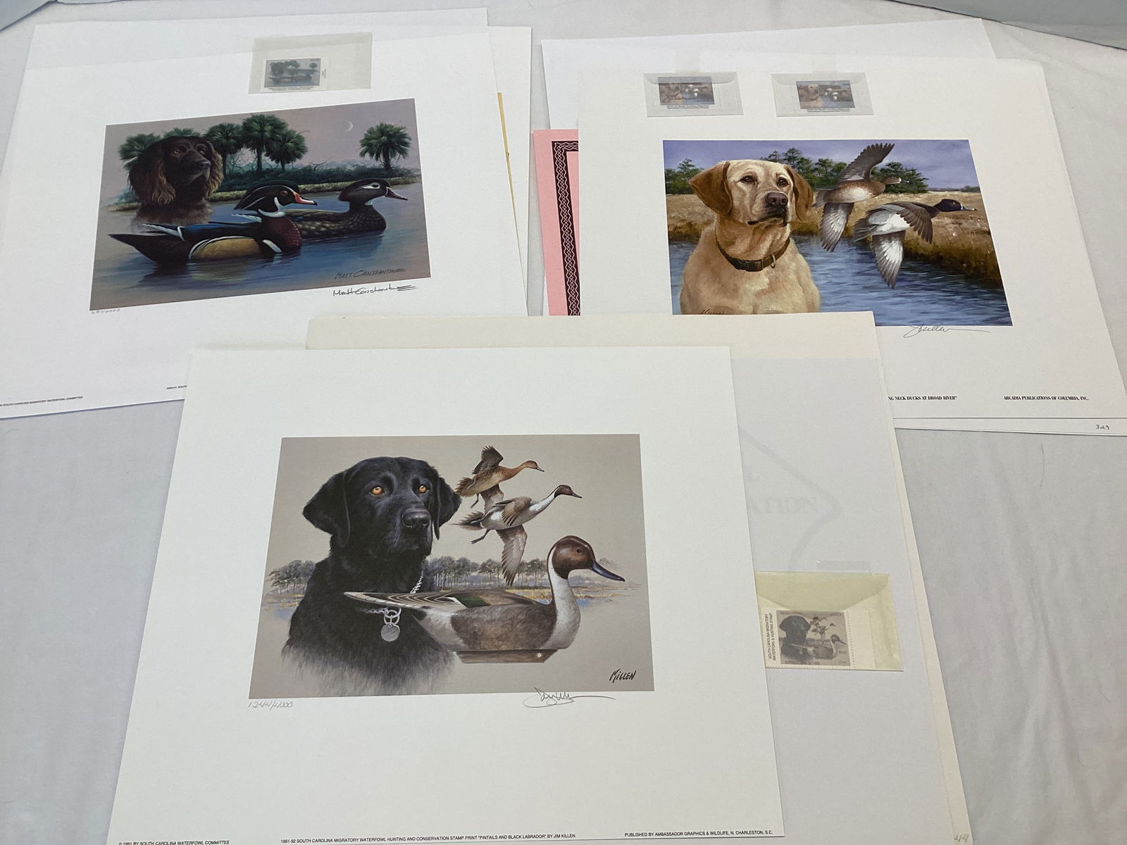 1991, 2000, and 2009 South Carolina Duck Stamps and Prints: 1991 - 14" x 12", 1244/4000, Pintails and Black Labrador, signed by Jim Killen; 2009 - 14" x 12", 329/4000, Ring Neck ducks at Broad River, signed by Jim Killen, one stamp signed; 2000 - 14" x 12", 63