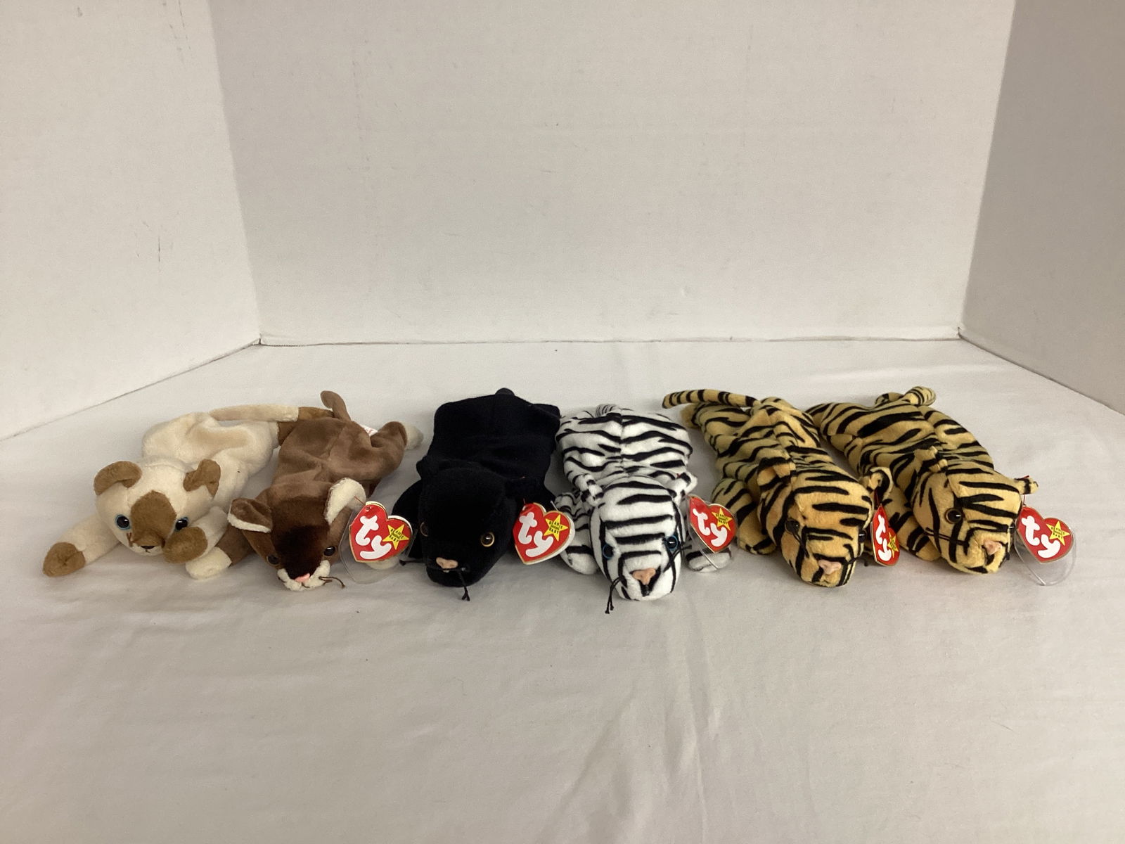 Cat TY Beanie Babies: Stripes (2), Blizzard, Pounce, Snip, and Velvet