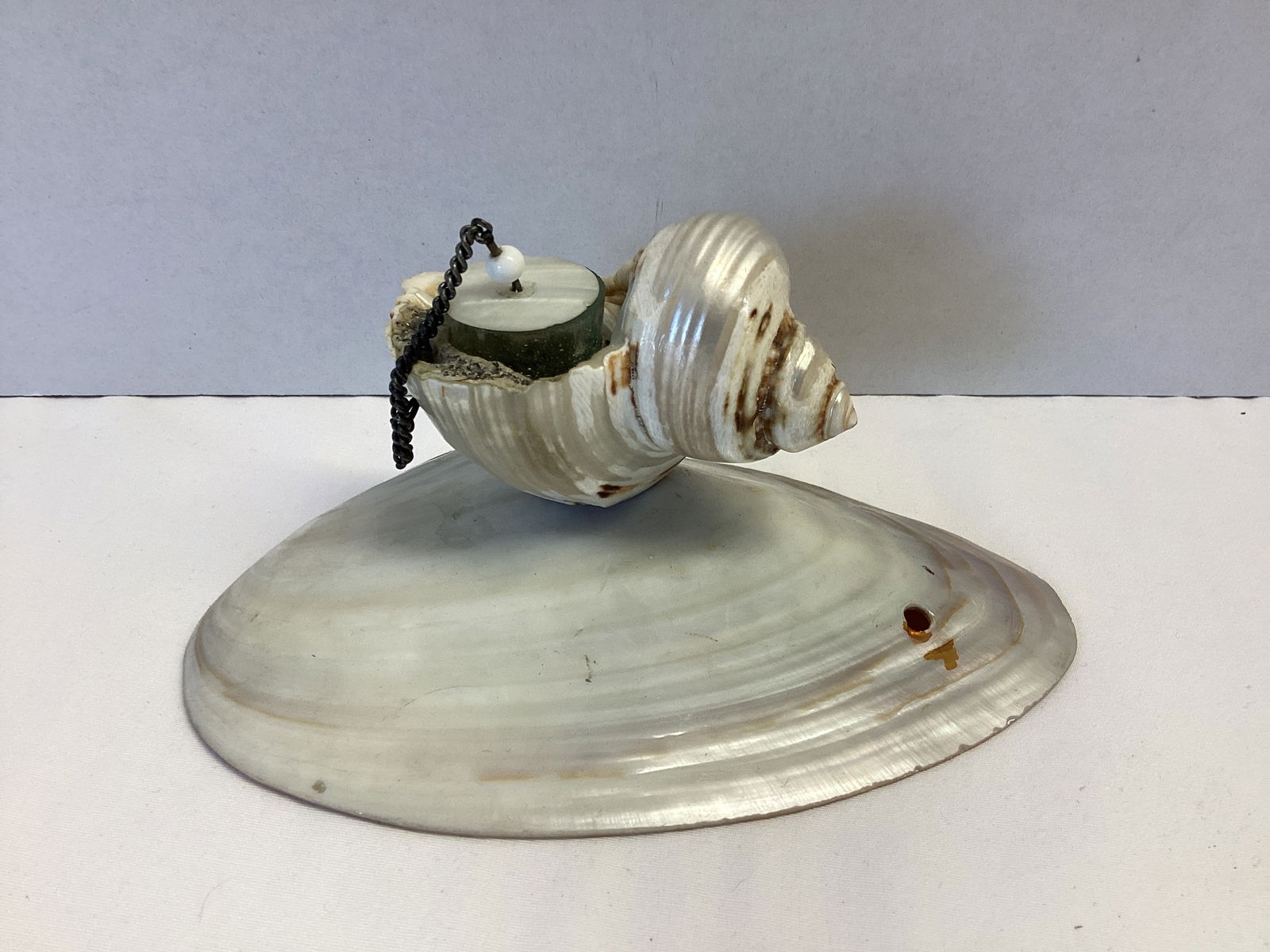 Seashell Inkwell (1 of 5)