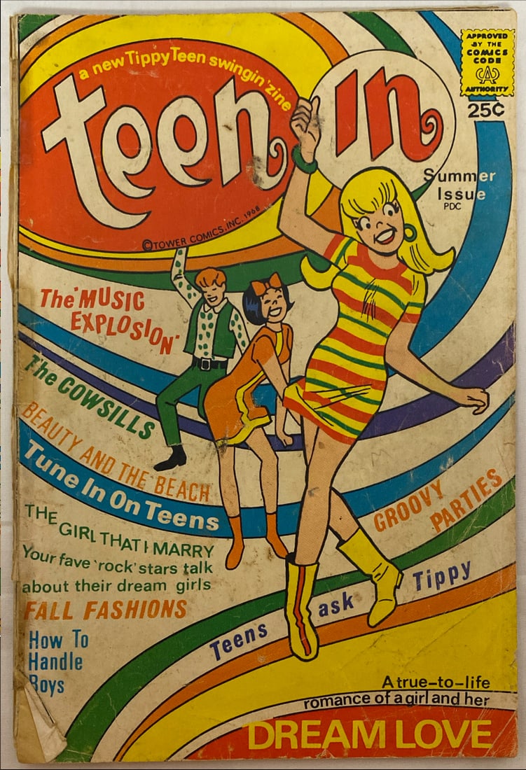 Teen In Summer Issue Comic Book (1 of 8)