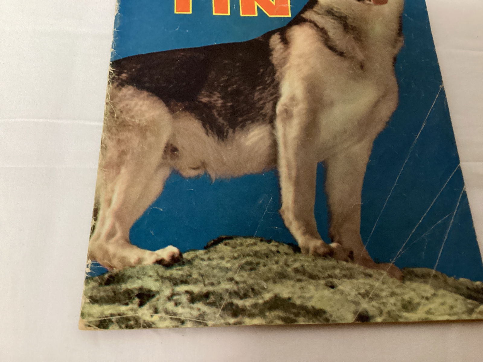 Rin-Tin-Tin 476 Dell Comic Book - 4