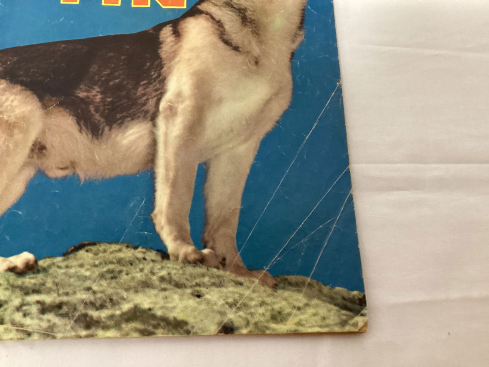 Rin-Tin-Tin 476 Dell Comic Book - 5