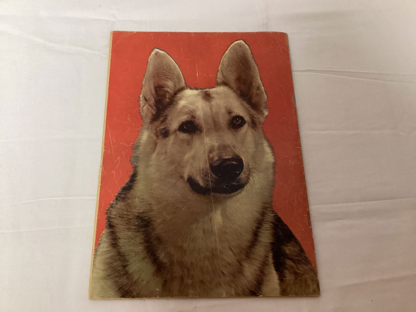 Rin-Tin-Tin 476 Dell Comic Book - 8