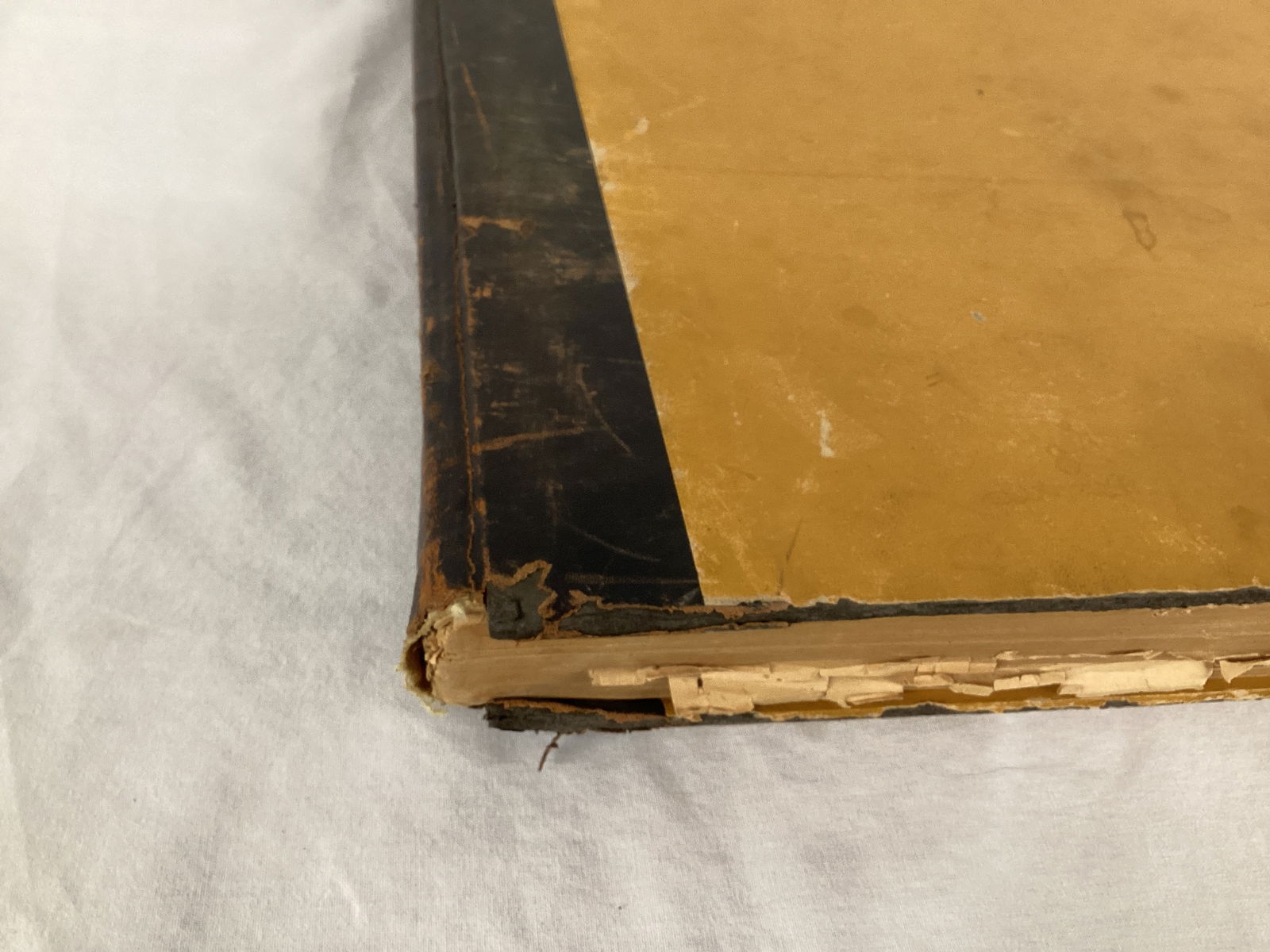 Spokane Daily Chronicle August 1915 Bound Newspaper Book - 4