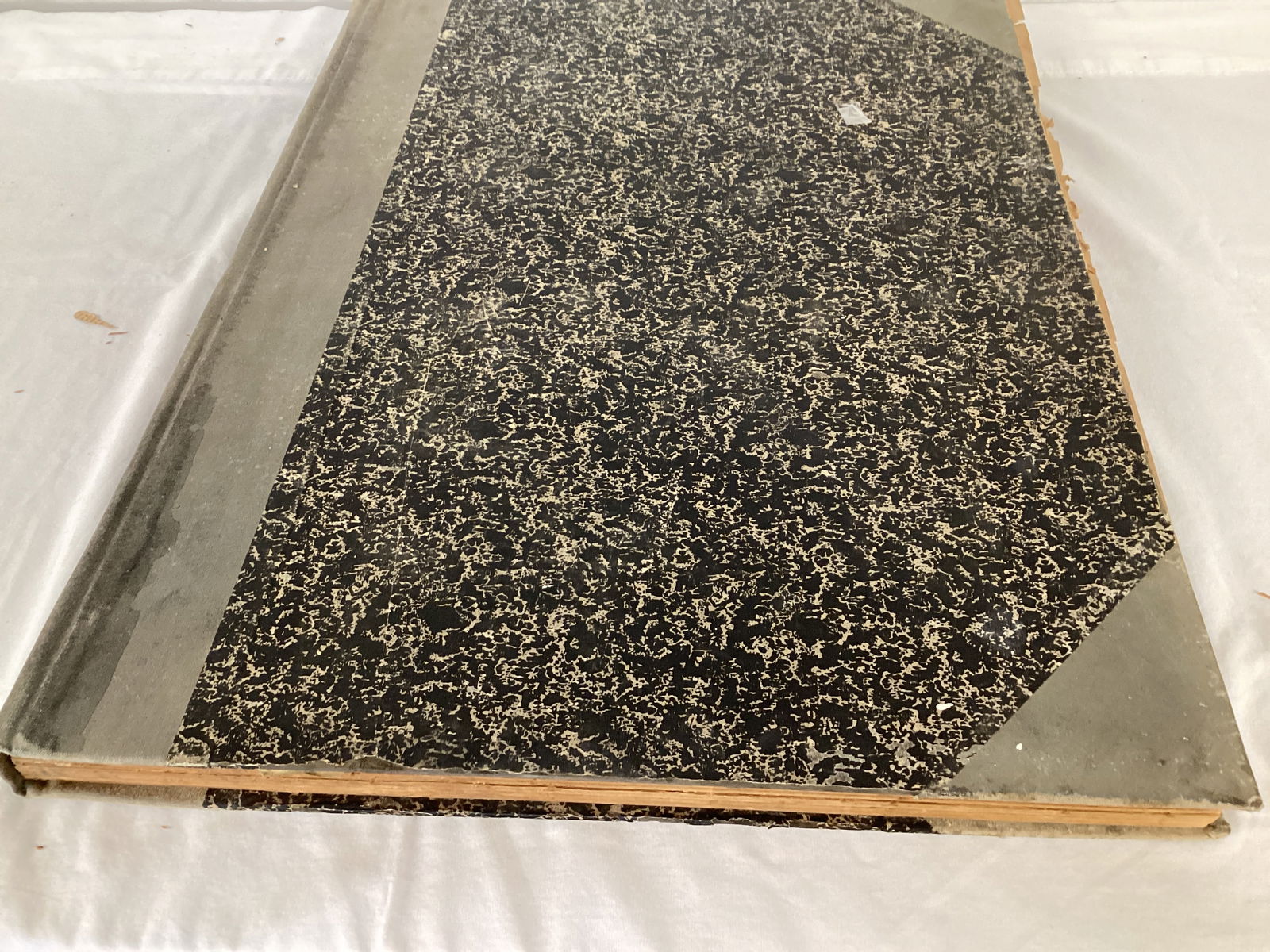 The Toledo News-Bee March 1930 Bound Newspaper Book - 3