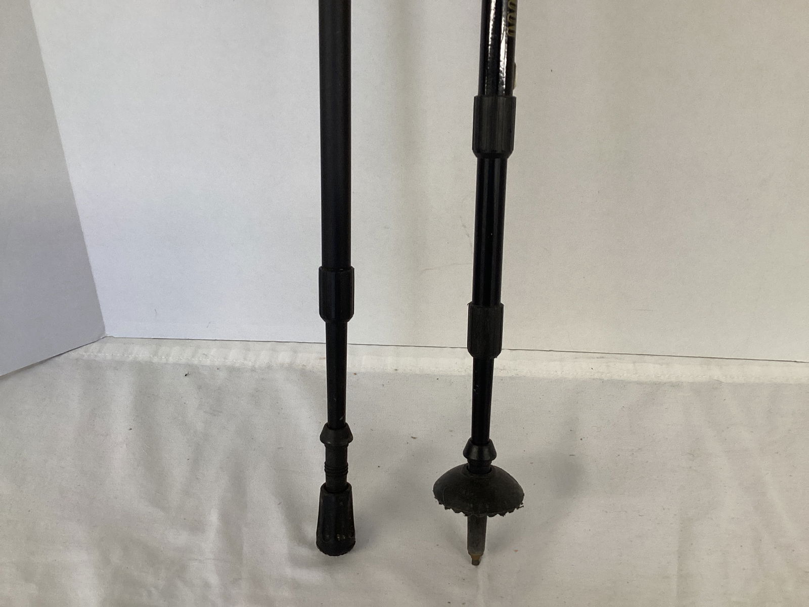 Leki Wanderfreund and Sierra Hiking Sticks - 7