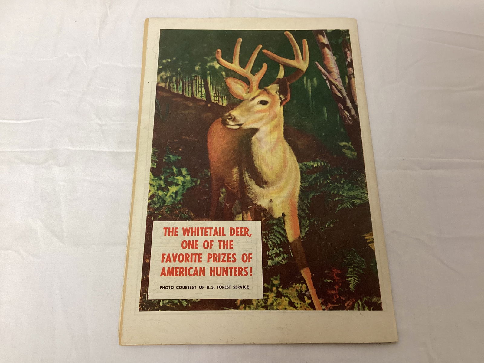 Bob Swift Boy Sportsman 3 Fawcett Comic Book - 8