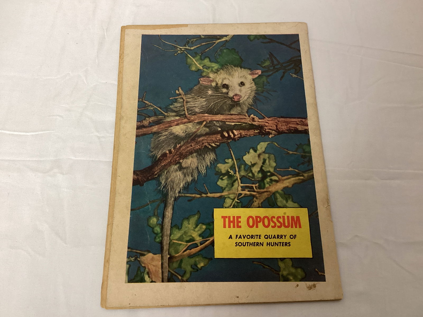 Bob Swift Boy Sportsman 4 Fawcett Comic Book - 8