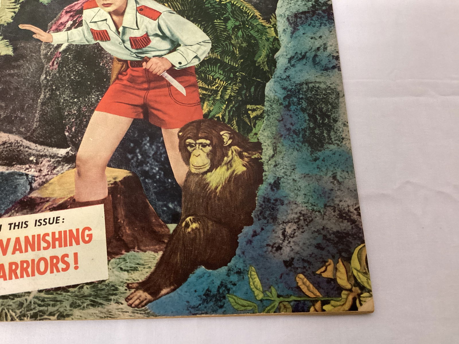 Nyoka the Jungle Girl 59 Fawcett Comic Book - 5