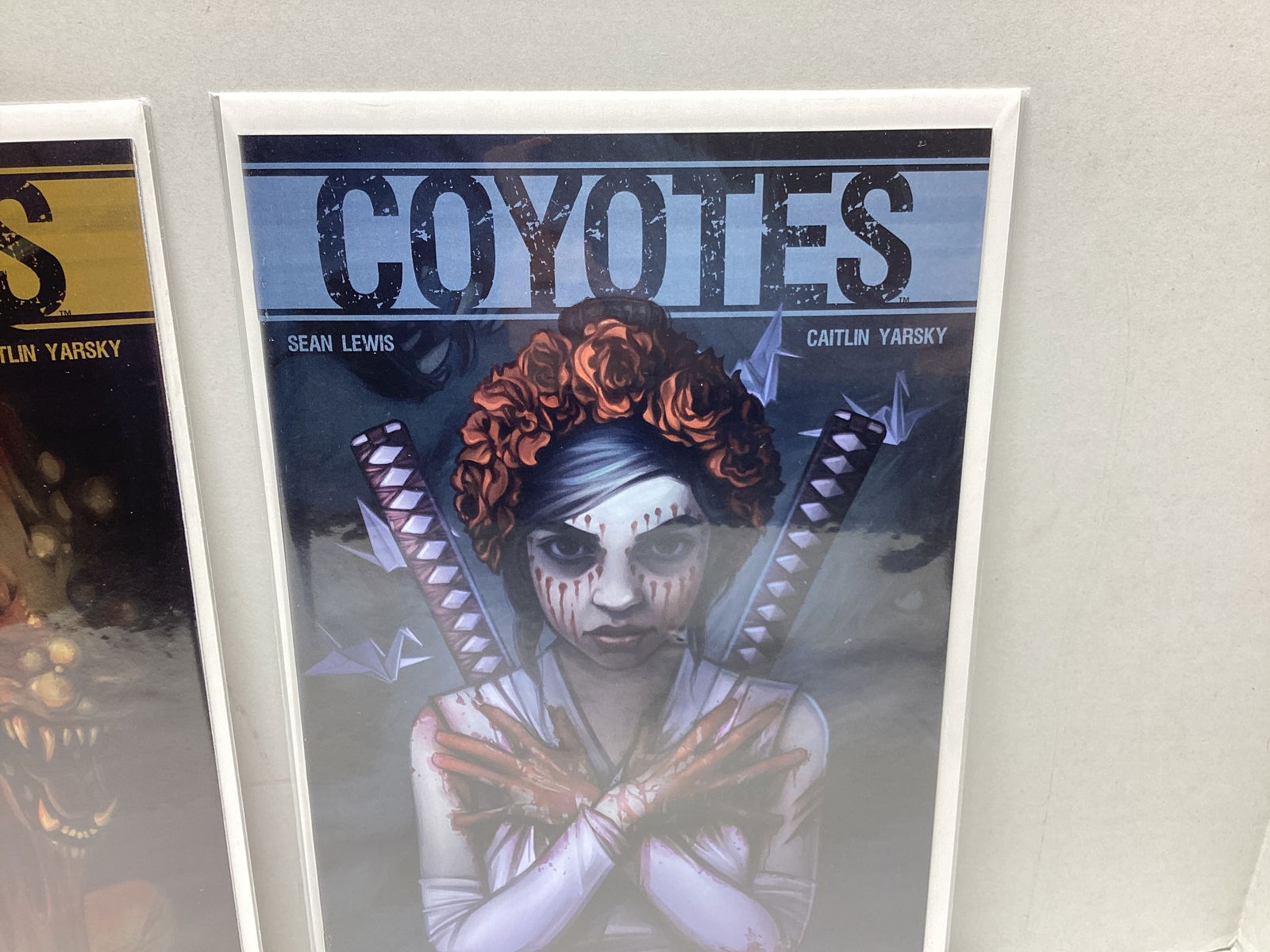 Four Coyotes Image Comic Books - 3