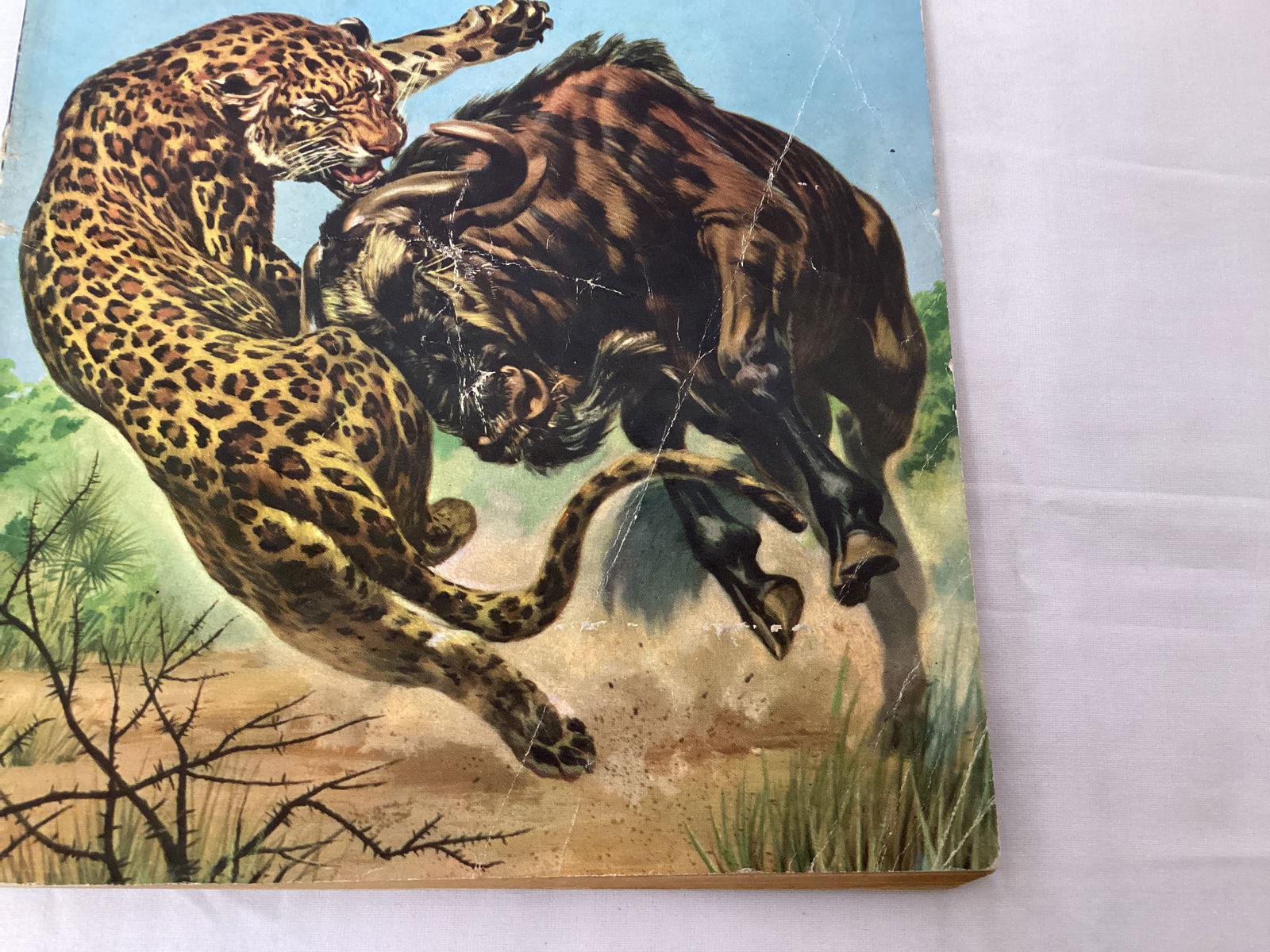 Tarzan's Jungle Annual 3 Dell Comic Book - 5