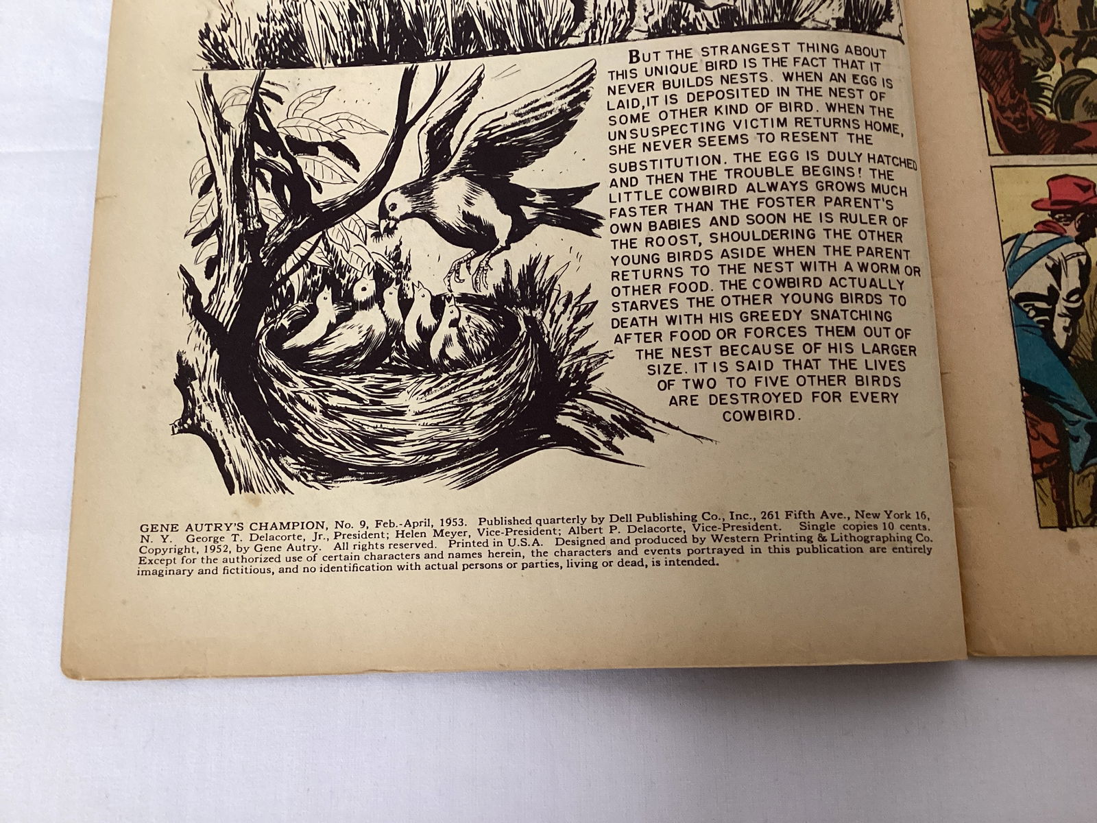 Gene Autry's Champion 9 Dell Western Comic Book - 7