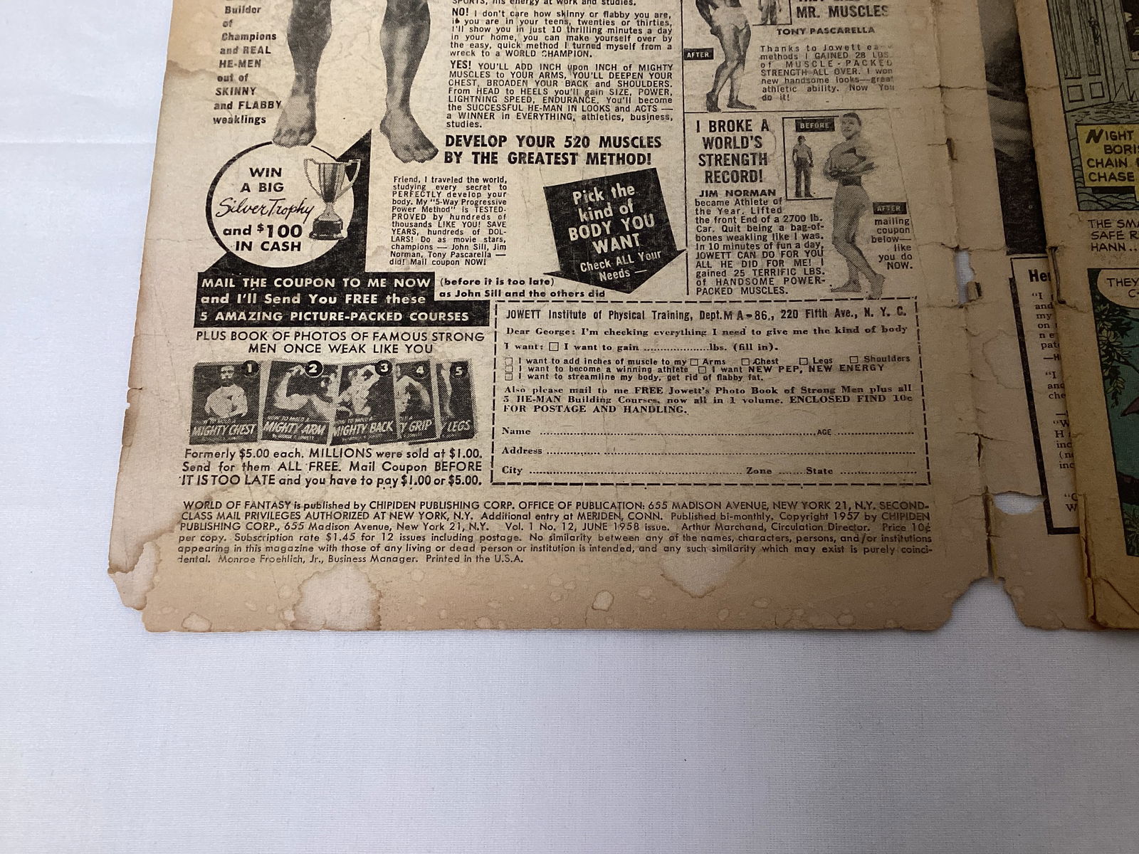 World of Fantasy 12 Chipiden Comic Book - 7