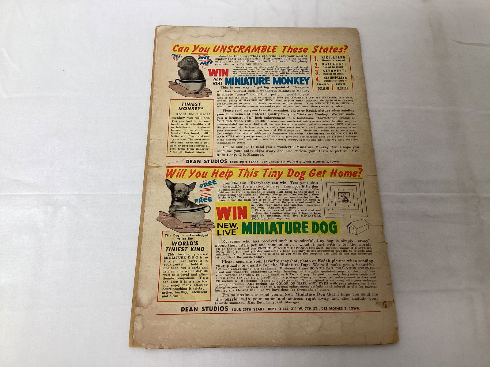 World of Fantasy 12 Chipiden Comic Book - 8