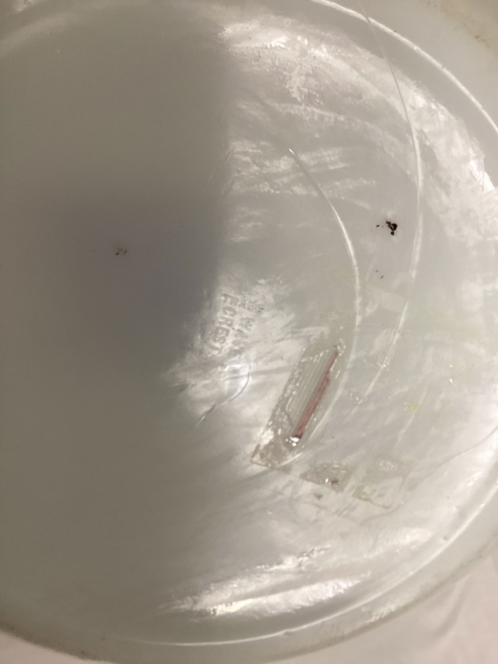 Antique Wave Crest Jardiniere - 9