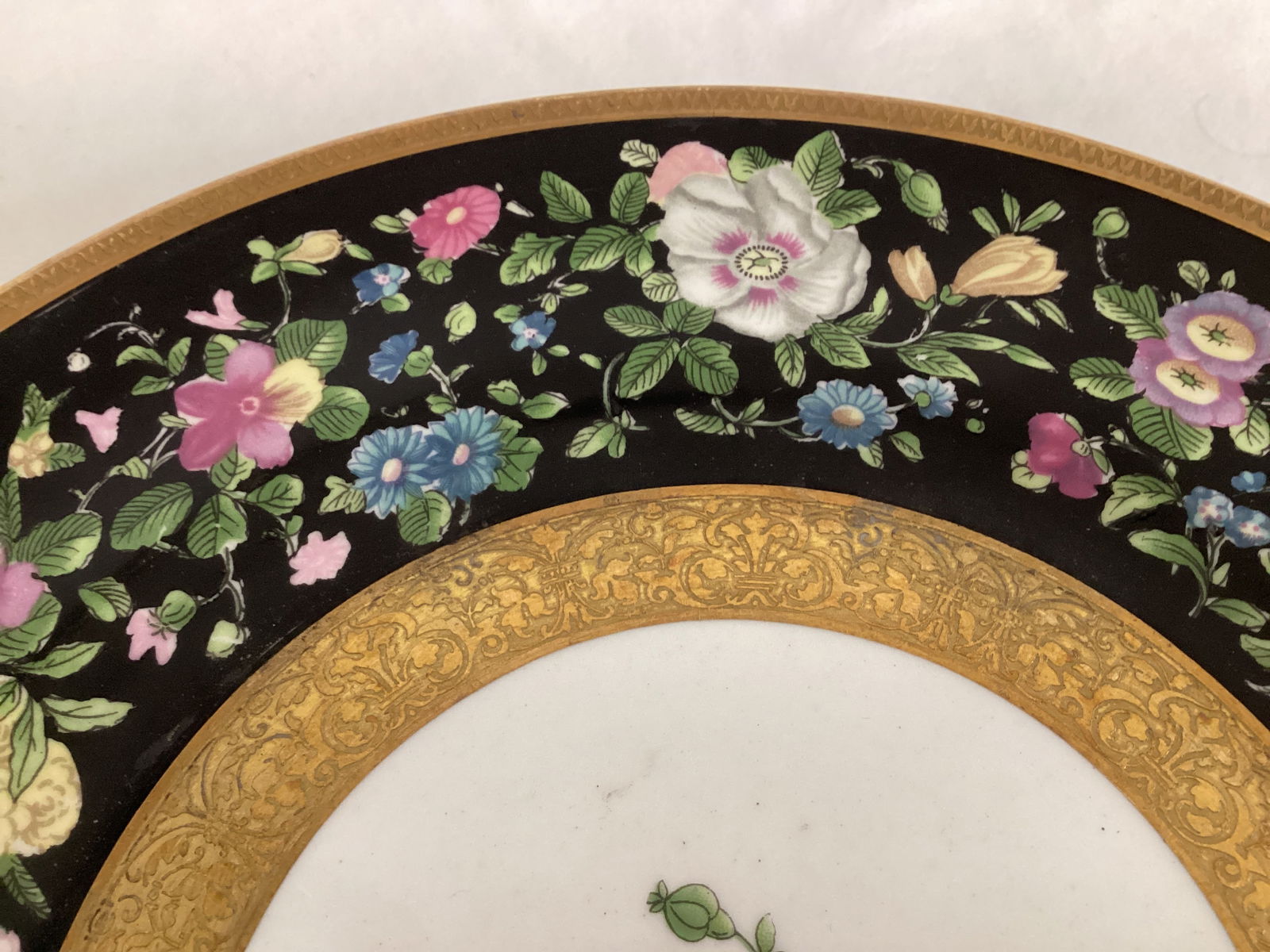 Six Staffordshire Mirano Plates - 7