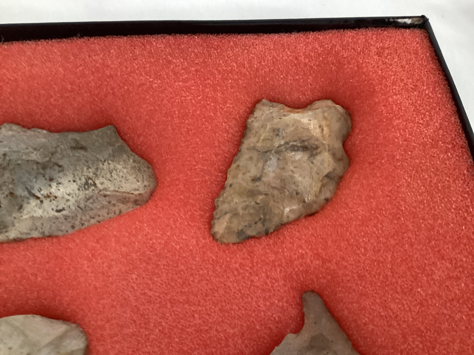 Six Carved Stone Spearheads in Display Case - 4