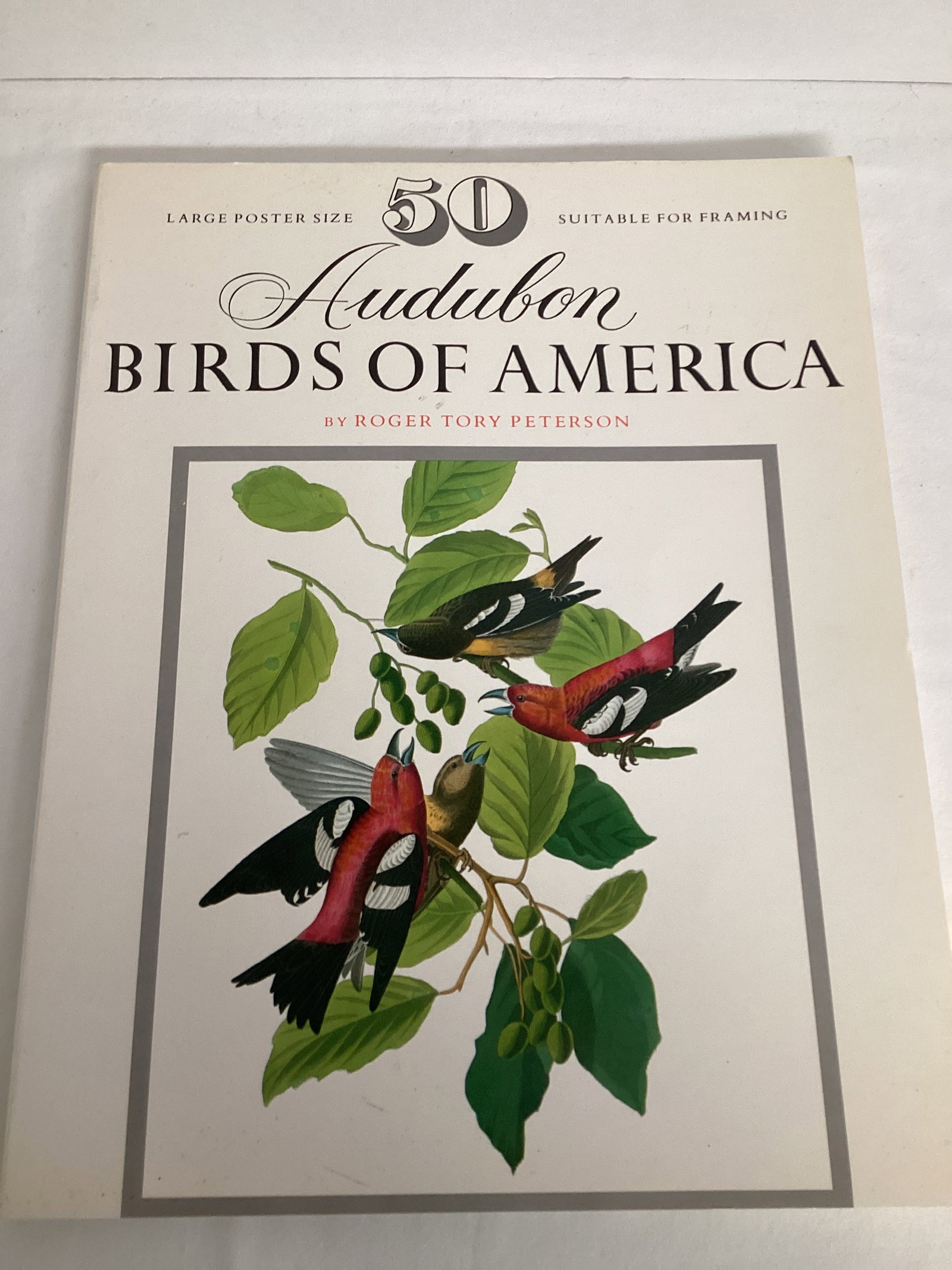 Audubon Birds of America 50 Large Poster Size Prints in Book: 11 3/4" x 15" 