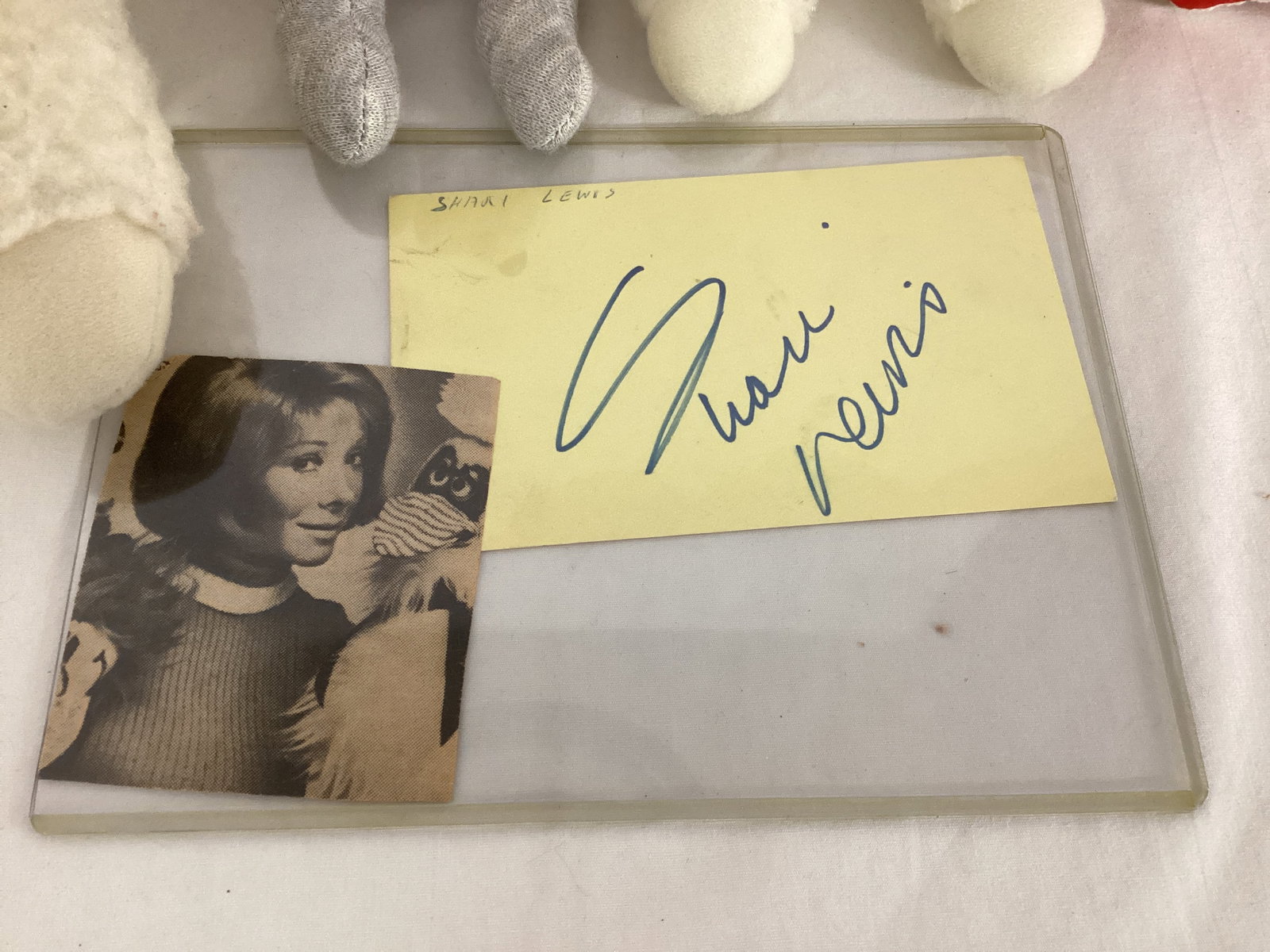 Shari Lewis Autograph, Lambchop Puppet, and Plush Characters - 2