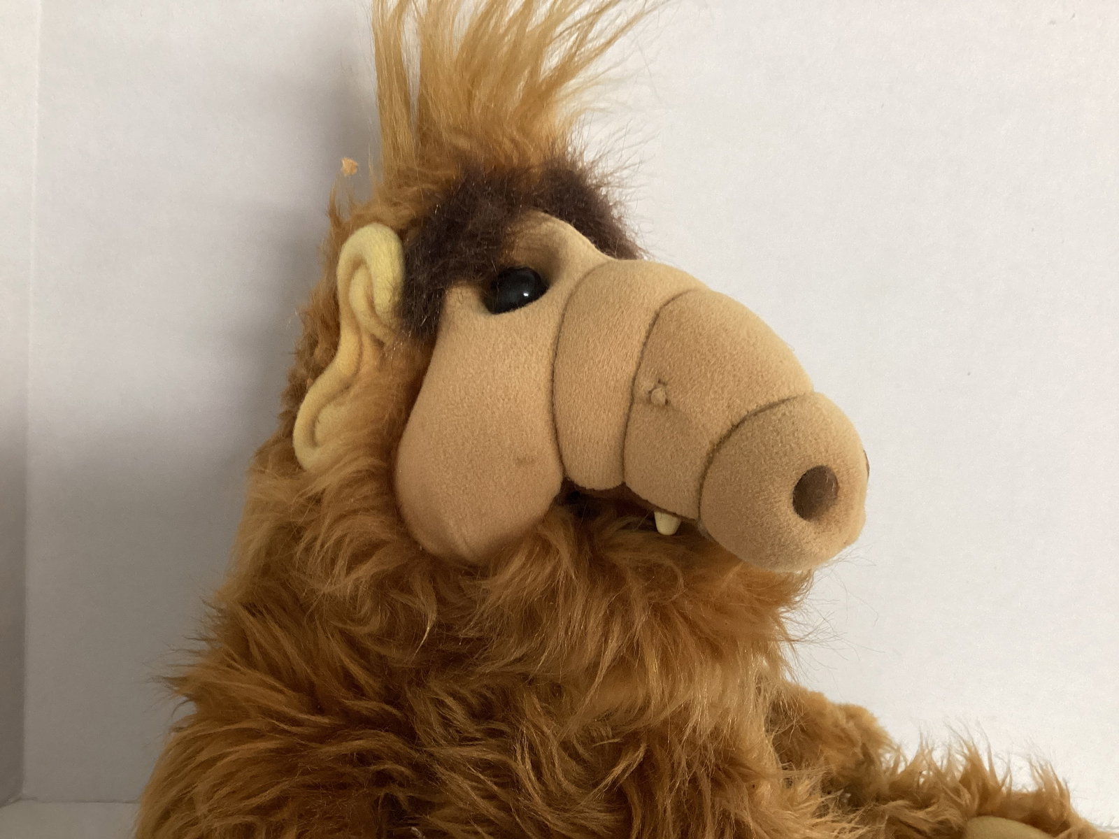 1986 Alf Plush - 3