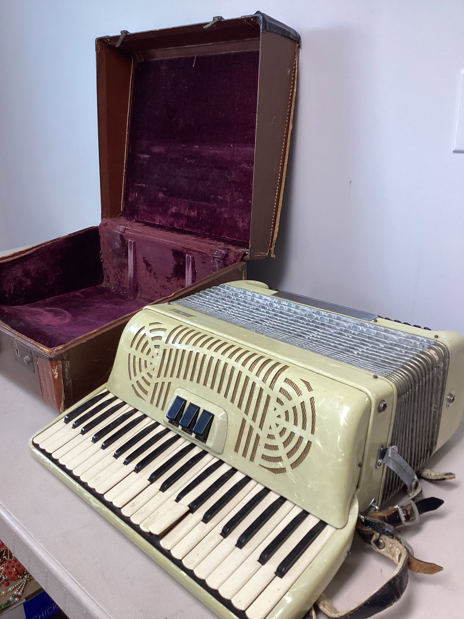 Nunziola Accordion in Case (1 of 10)