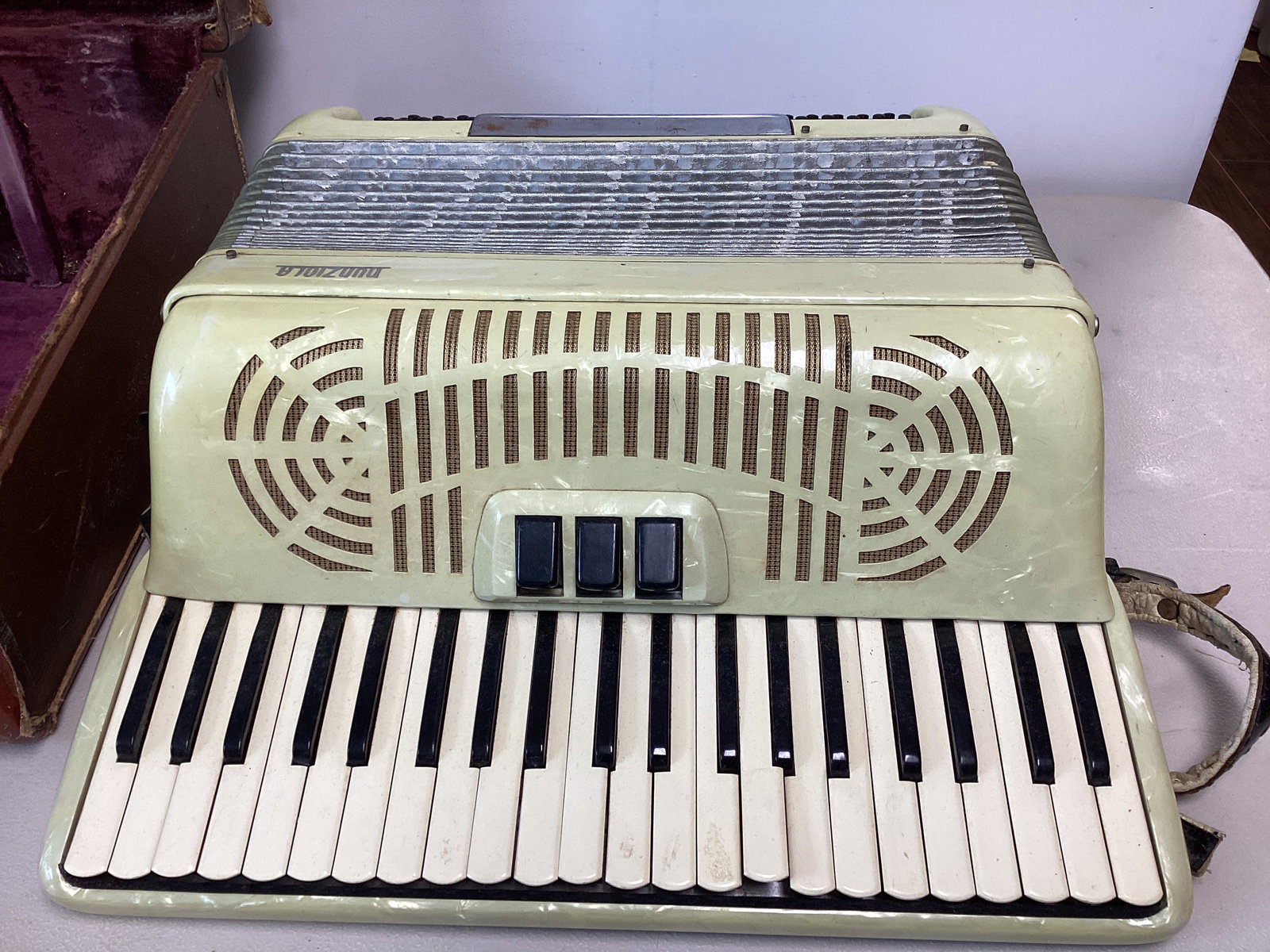 Nunziola Accordion in Case - 2