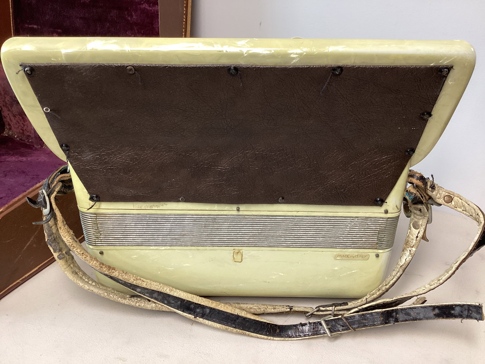 Nunziola Accordion in Case - 6