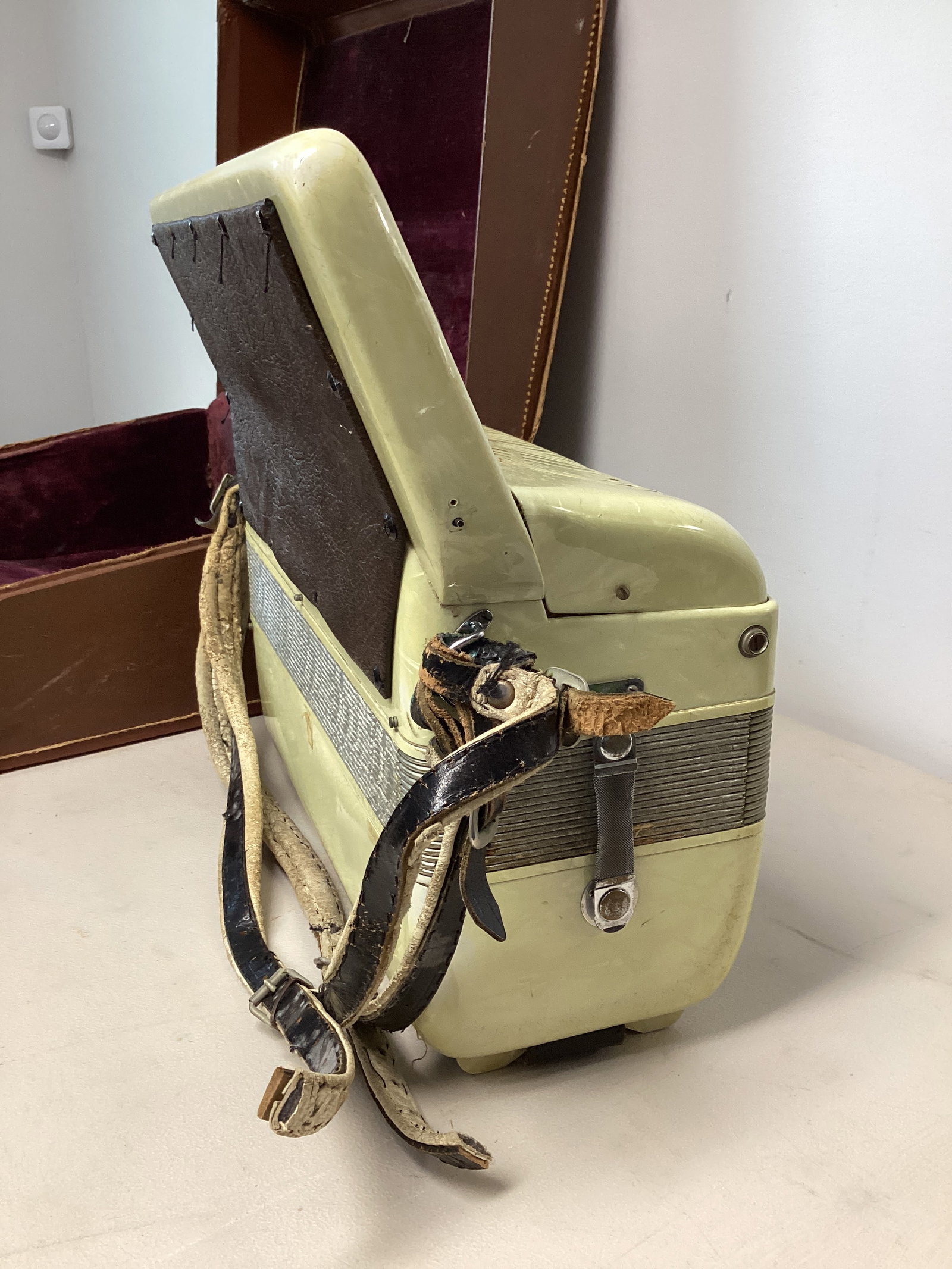 Nunziola Accordion in Case - 8