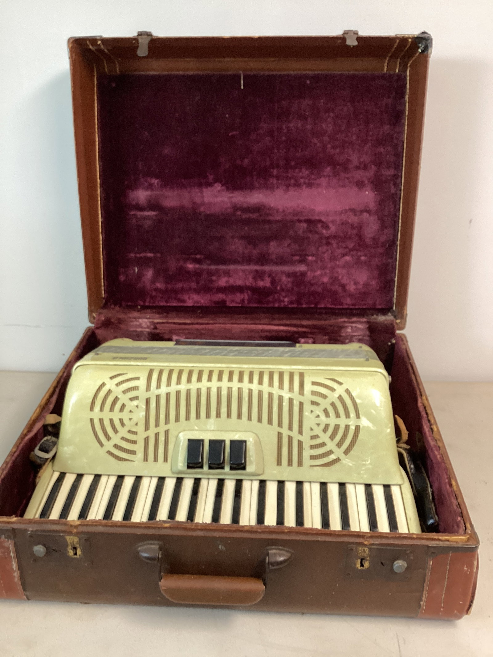 Nunziola Accordion in Case - 9