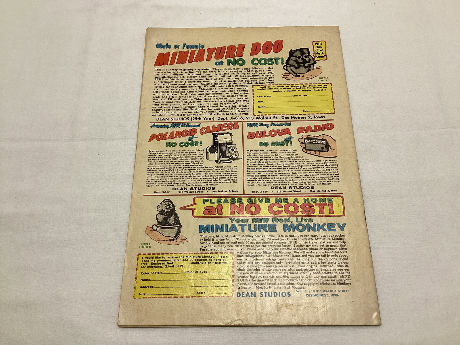Gorgo 14 Charlton Comic Book - 8