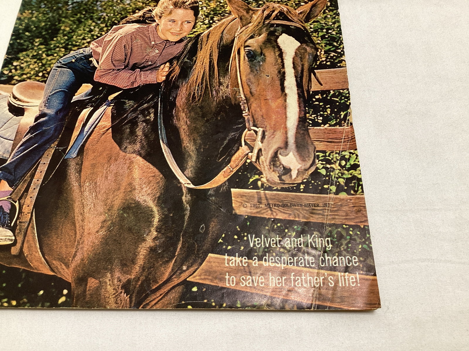 National Velvet 1195 Dell Comic Book - 5