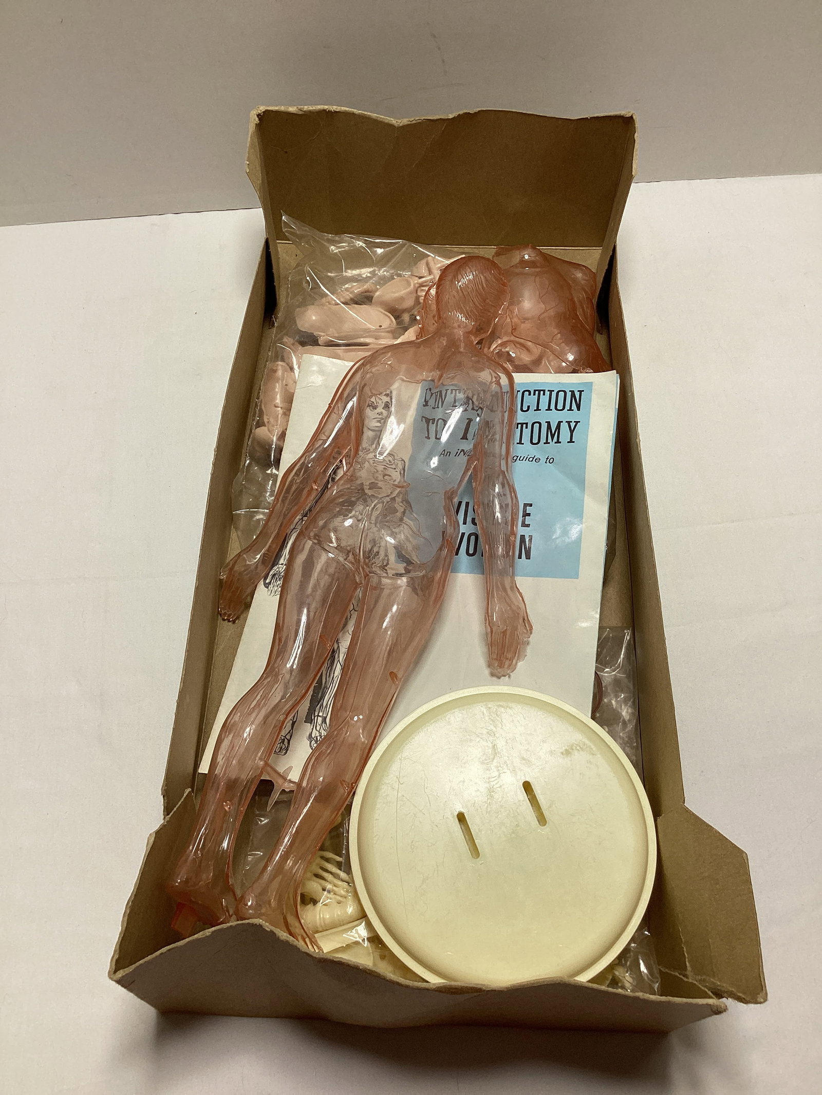 Revell The Visible Woman Model Kit - 4