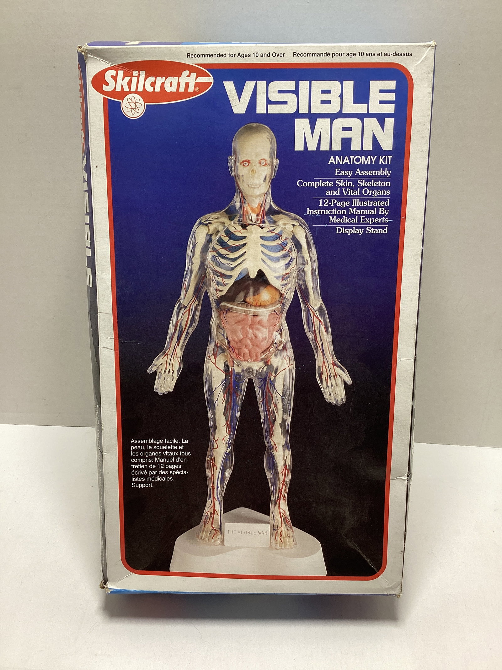 Skilcraft Visible Man Anatomy Model Kit: open box, unsure if complete