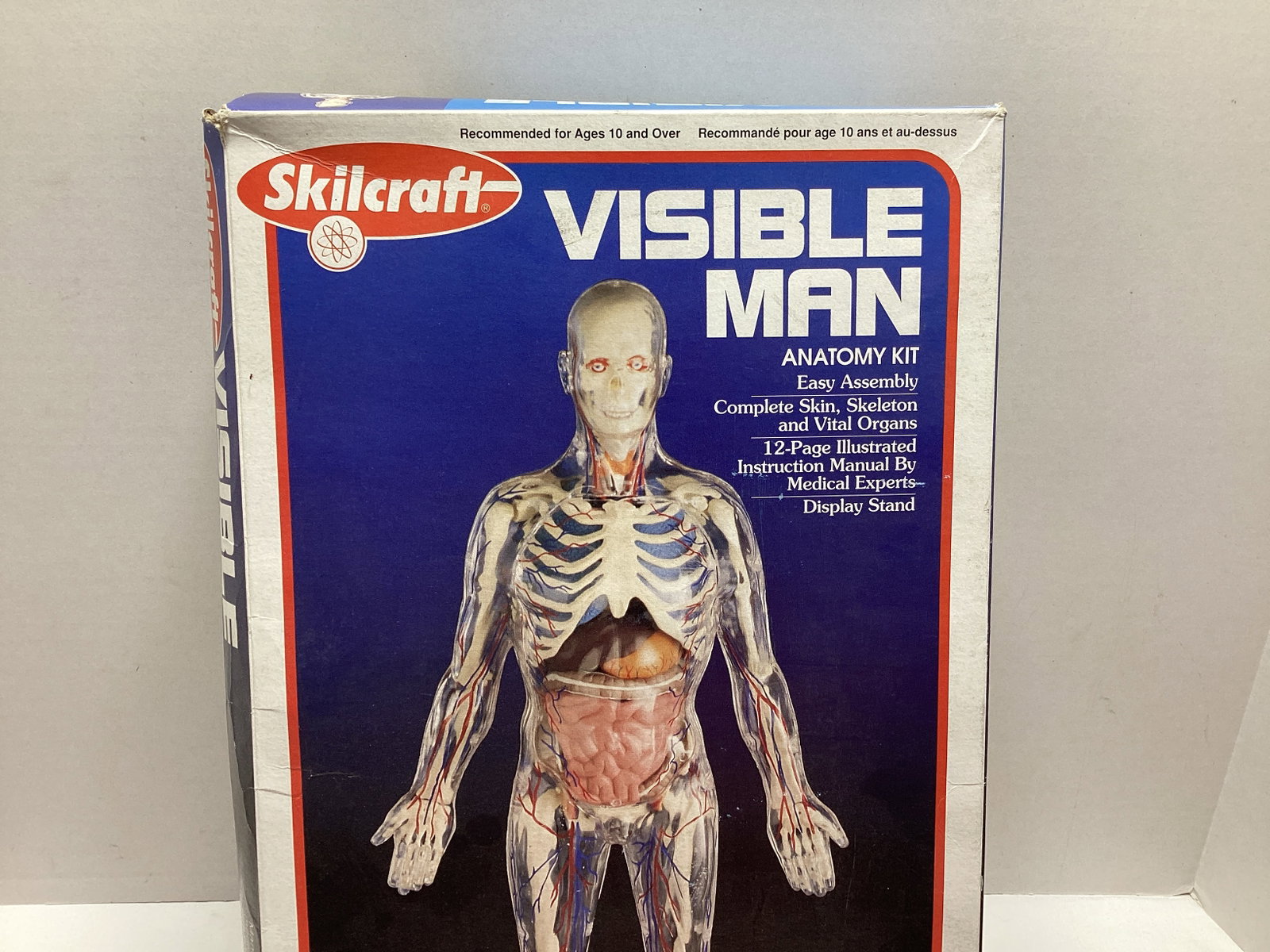Skilcraft Visible Man Anatomy Model Kit - 2