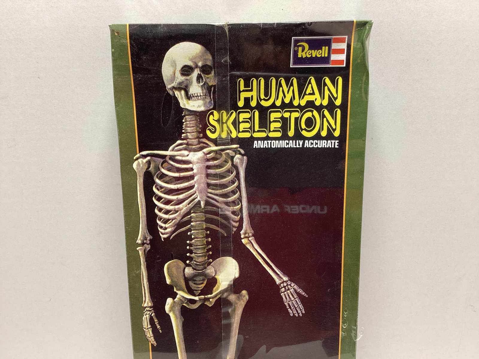 Revell Human Skeleton Sealed Glow in the Dark Model Kit - 2
