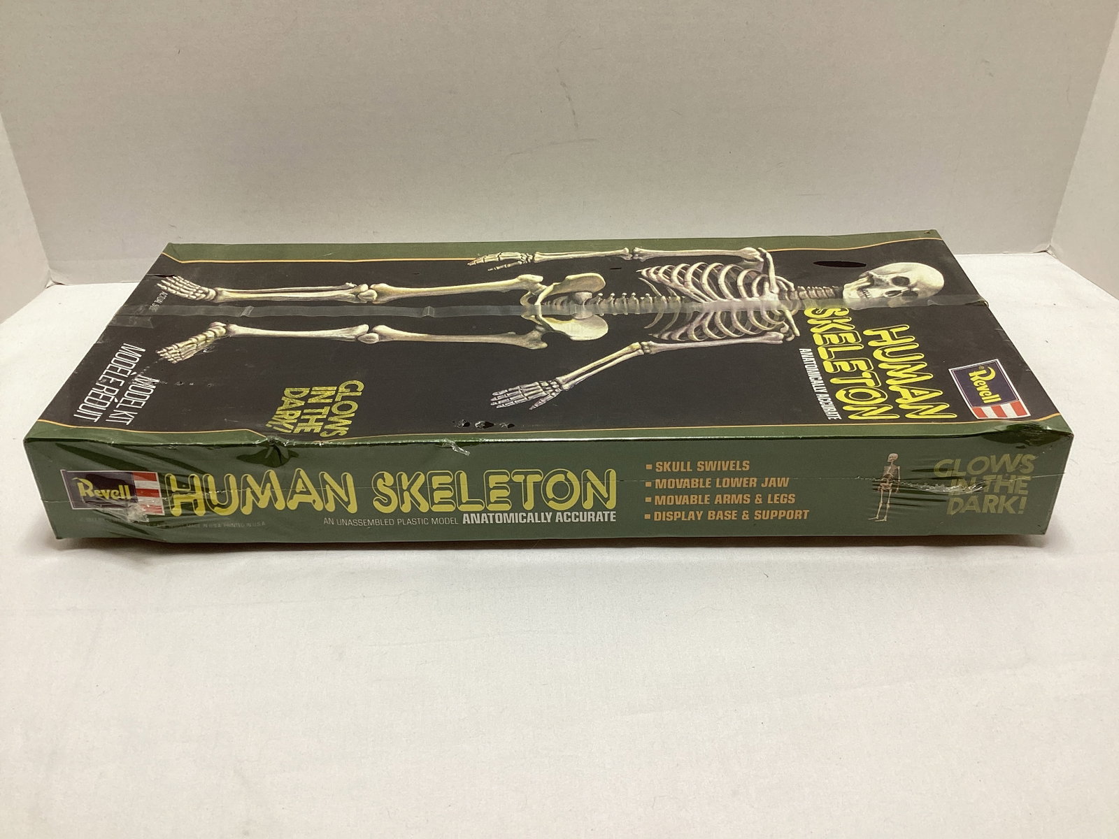 Revell Human Skeleton Sealed Glow in the Dark Model Kit - 4