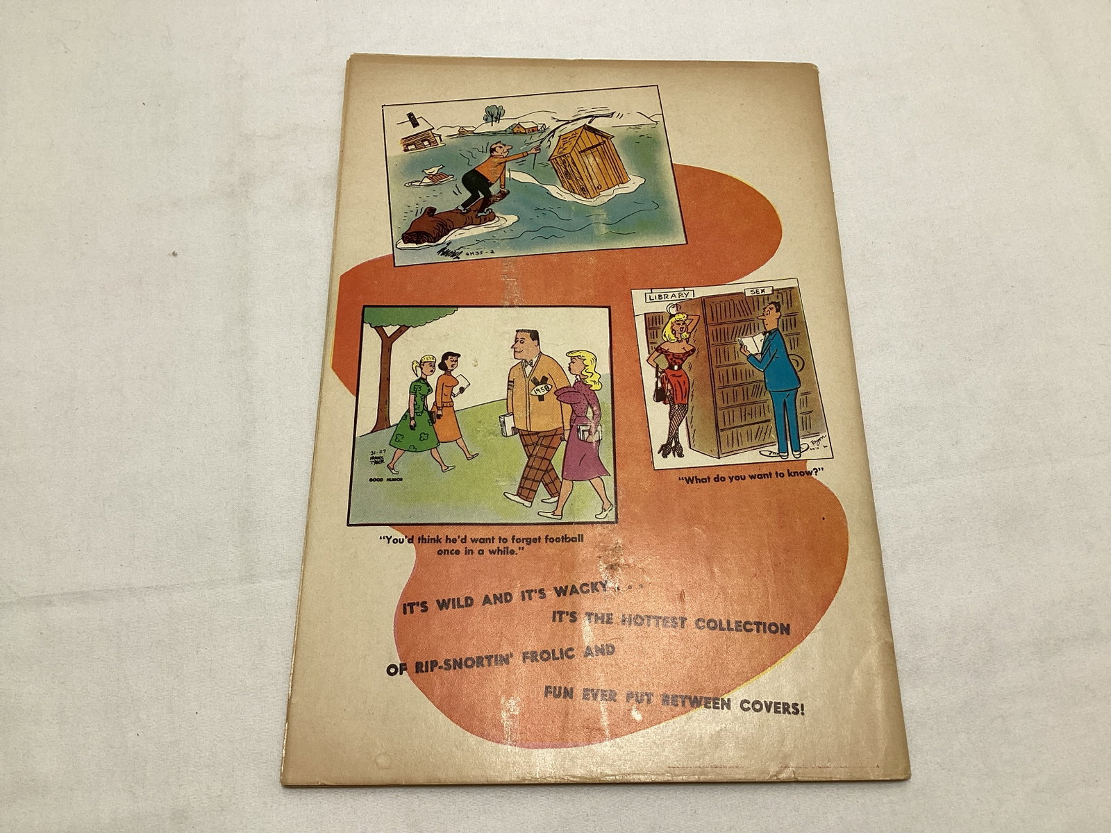 Cartoon Spice 1 Charlton Comic Book - 8