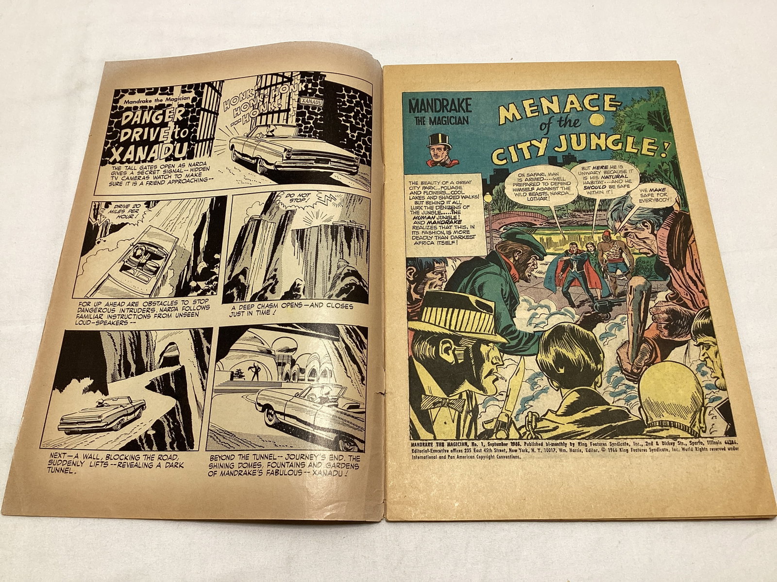 Mandrake the Magician 1 King Comic Book - 6