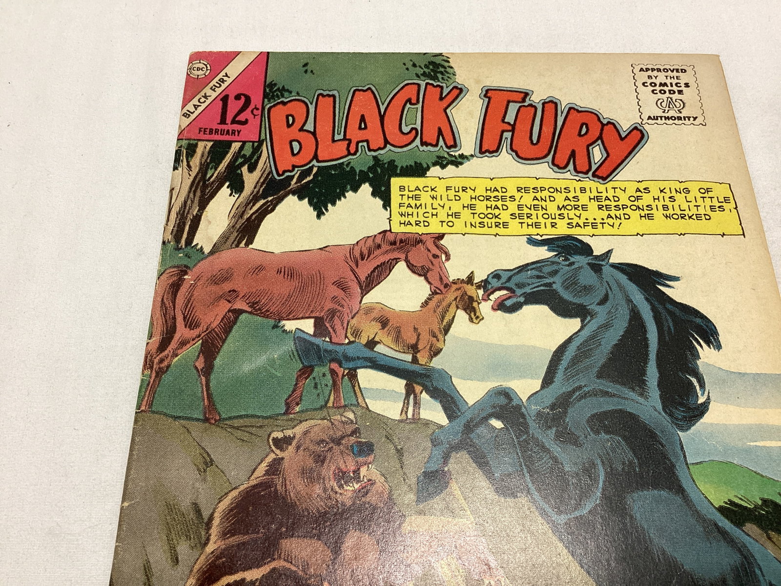 Black Fury 51 Charlton Comic Book - 2