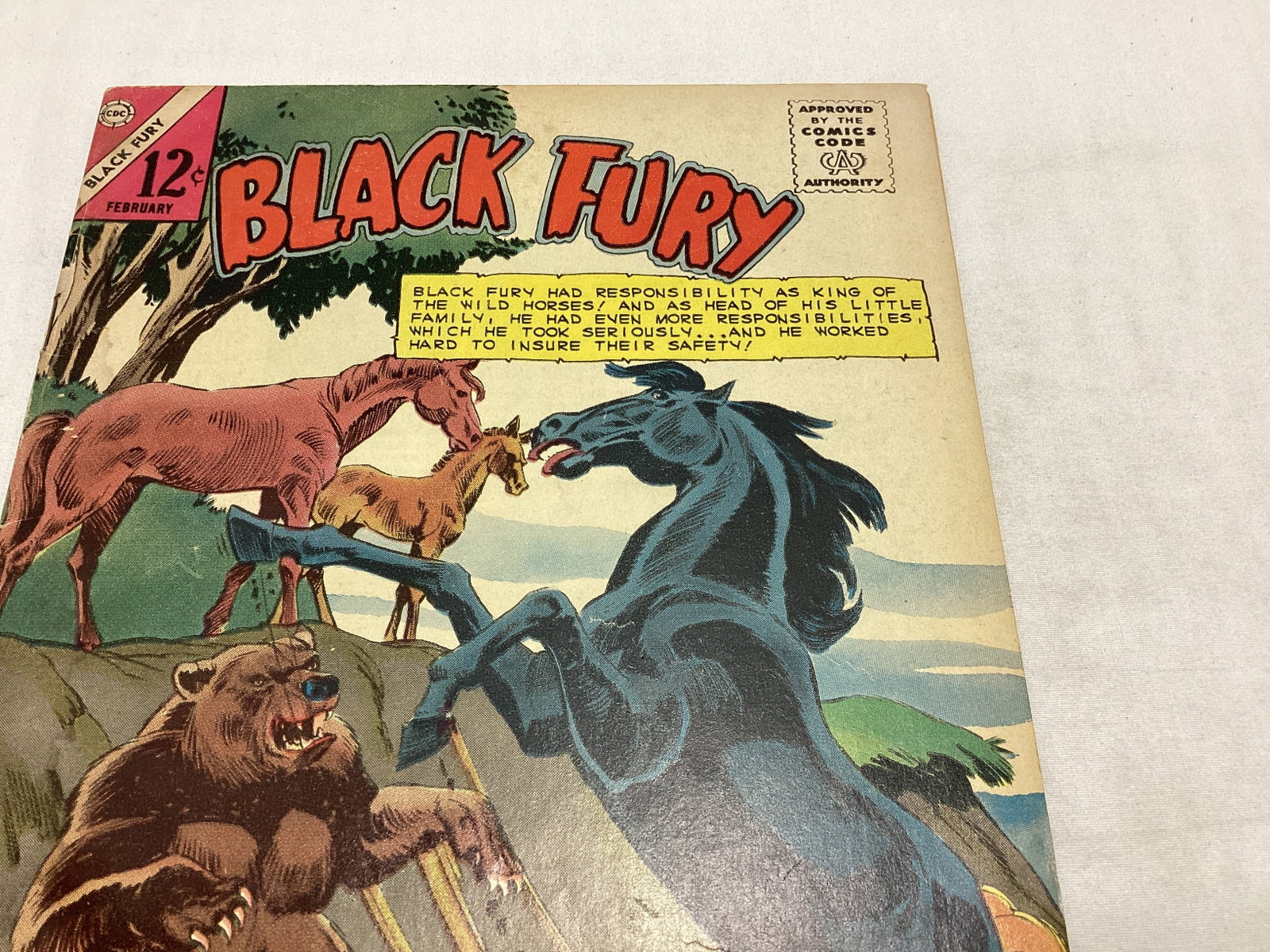 Black Fury 51 Charlton Comic Book - 3