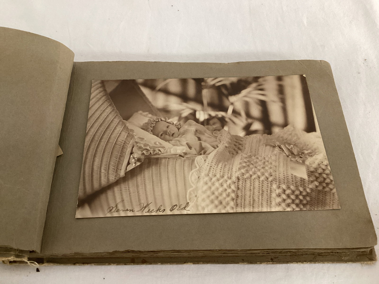 Two Photos Albums with Photos Around 1930 - 10