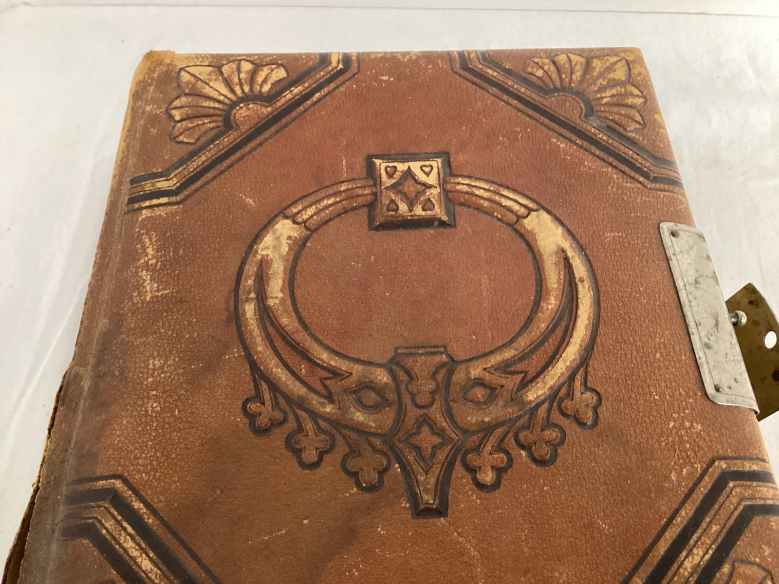 Two Antique Photo Albums - 10