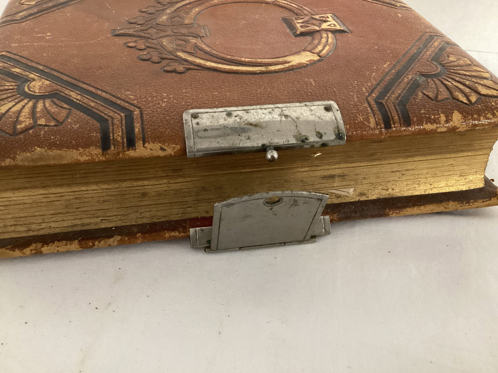 Two Antique Photo Albums - 11