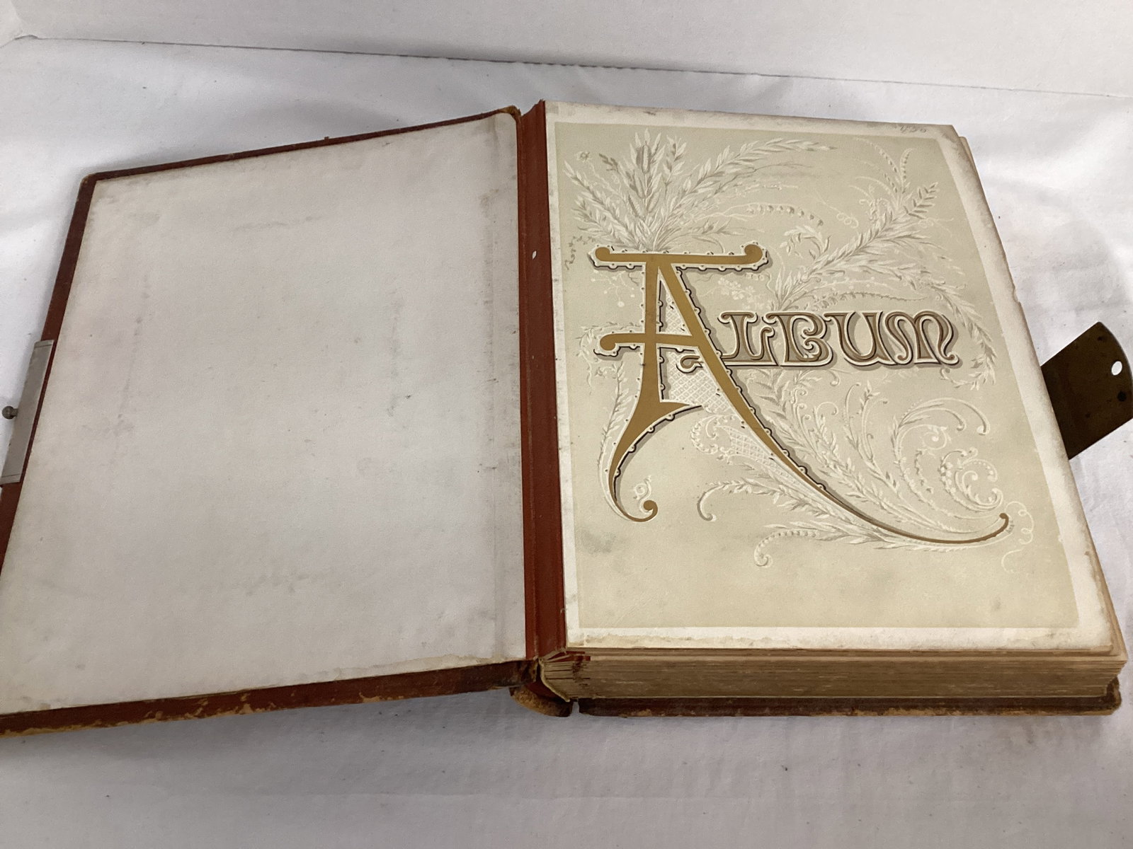 Two Antique Photo Albums - 12