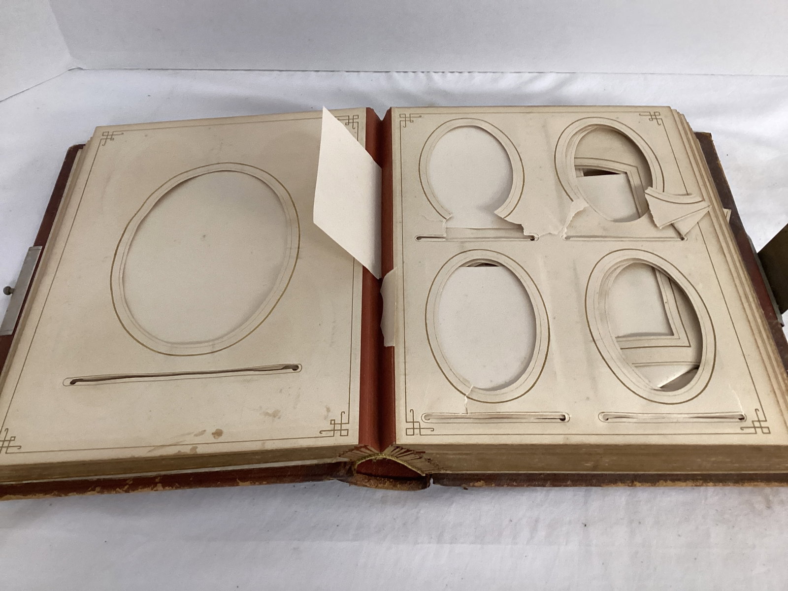 Two Antique Photo Albums - 14