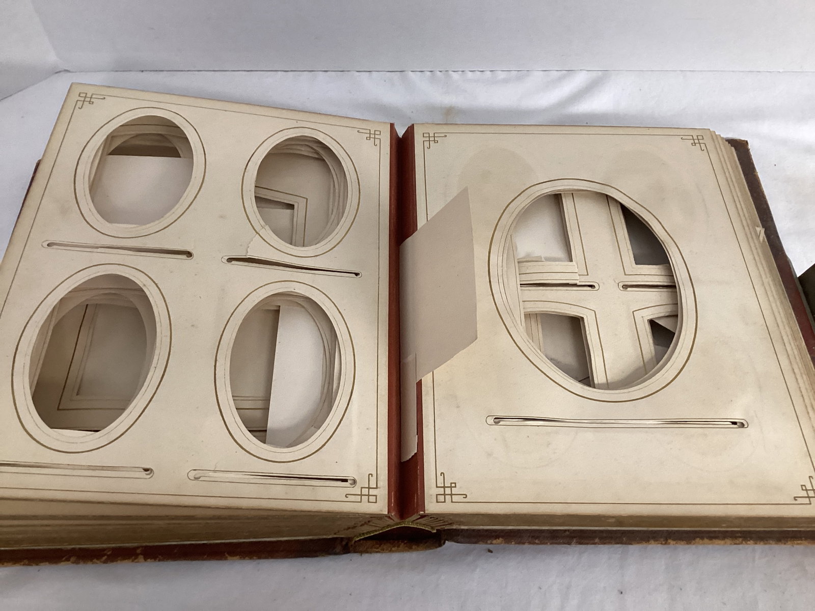 Two Antique Photo Albums - 15